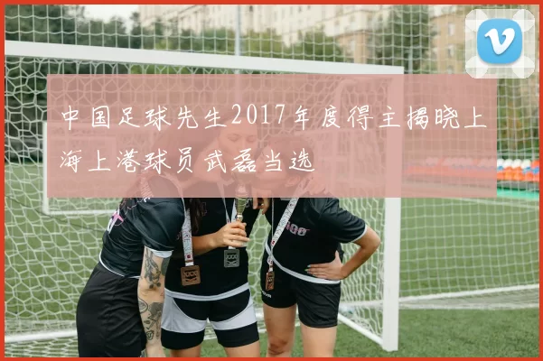 中国足球先生2017年度得主揭晓上海上港球员武磊当选