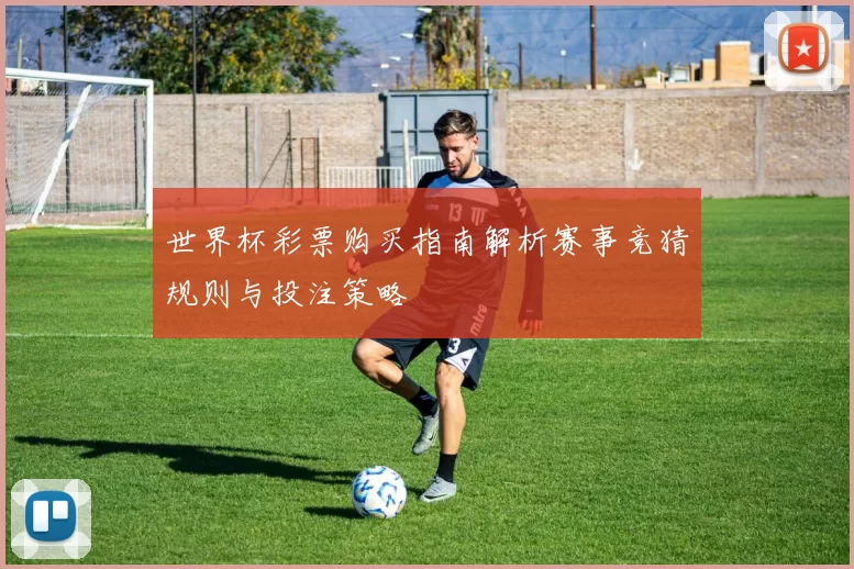 世界杯彩票购买指南解析赛事竞猜规则与投注策略