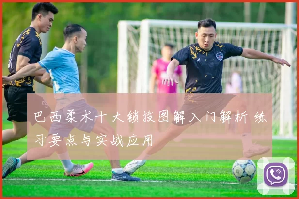 巴西柔术十大锁技图解入门解析 练习要点与实战应用