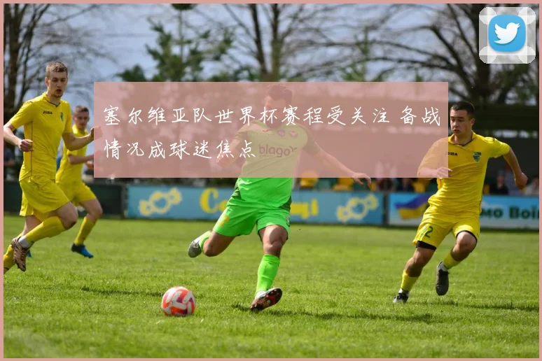 塞尔维亚队世界杯赛程受关注 备战情况成球迷焦点