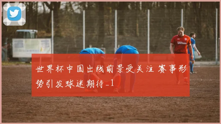 世界杯中国出线前景受关注 赛事形势引发球迷期待_1