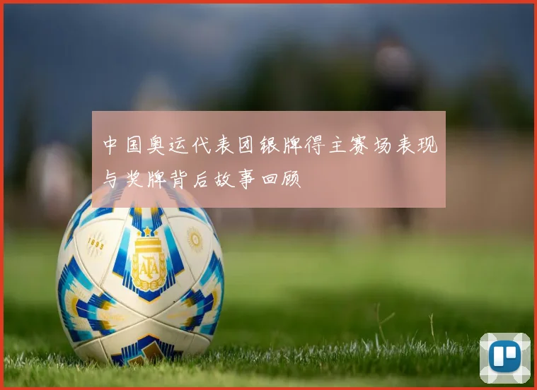 中国奥运代表团银牌得主赛场表现与奖牌背后故事回顾