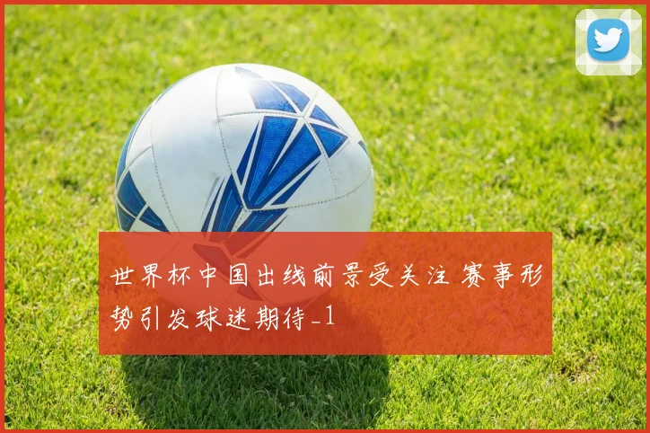 世界杯中国出线前景受关注 赛事形势引发球迷期待_1